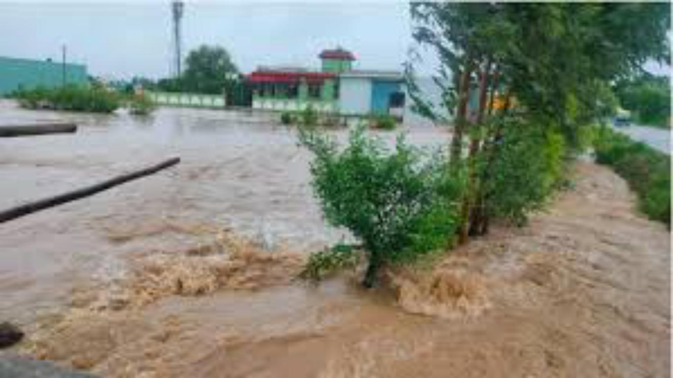 कलसिया नाले के किनारे बसे लोगों की दहशत में कट रही रातें; रातभर शिफ्ट में पहरा दे रहे लोग