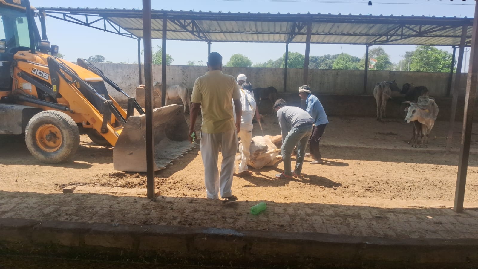 गौशाला की दुर्दशा कबरेज करने पहुंचे पत्रकार से मारपीट, वीडियो वायरल।