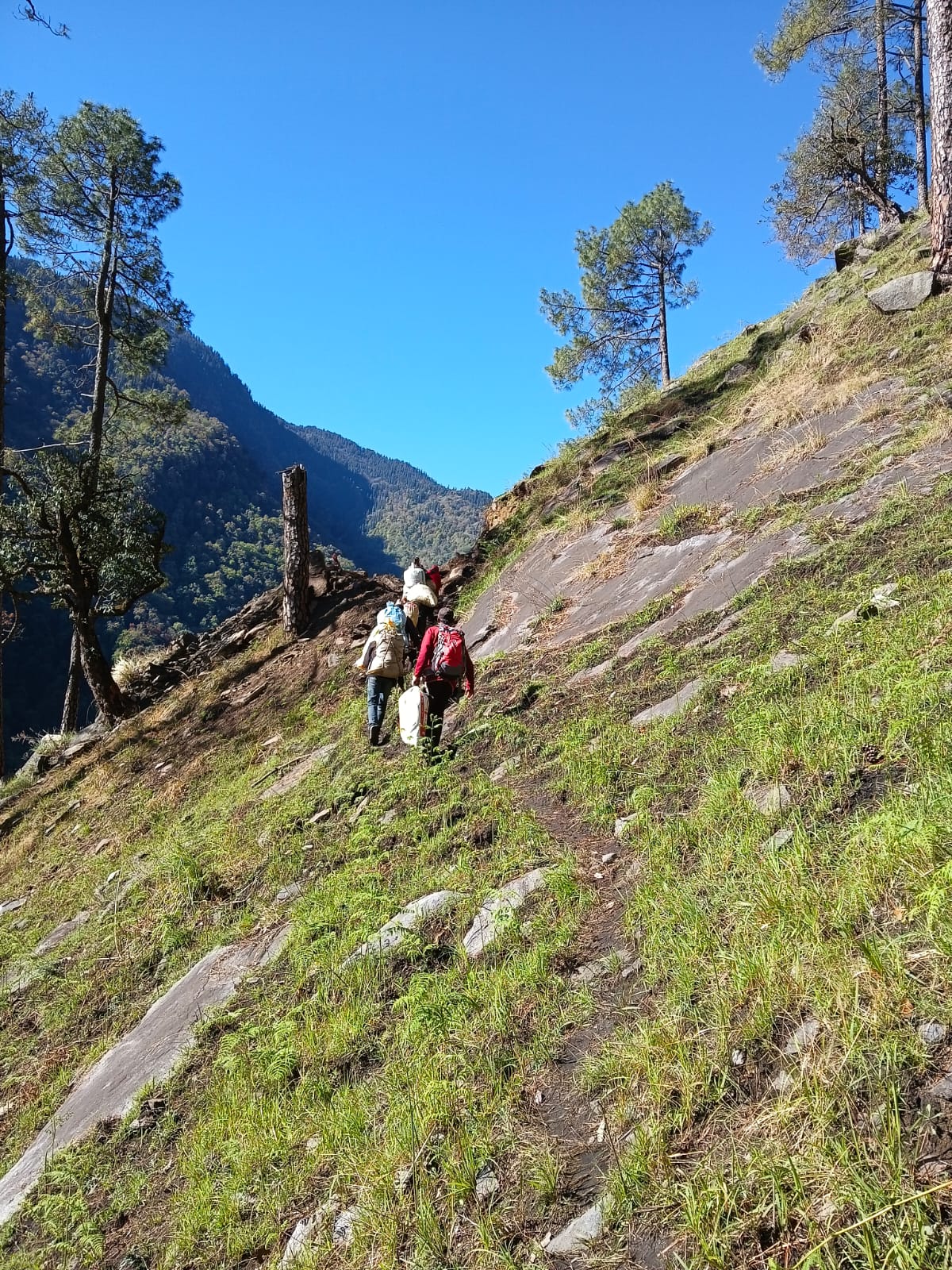 मदमहेश्वर धाम यात्रा से पूर्व मार्ग सुगम बनाने की मांग, समिति ने सौंपा ज्ञापन।       