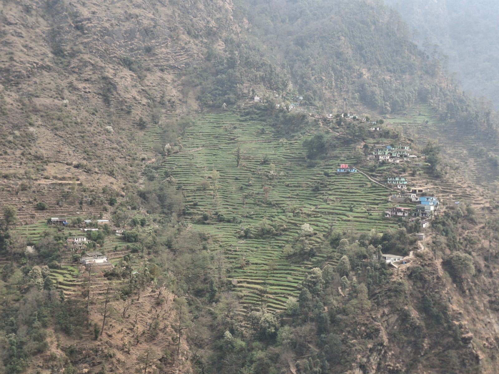 स्यासू गांव आज भी सड़क सुविधा से वंचित।   ग्रामीणों का जीवन बना कठिन। 