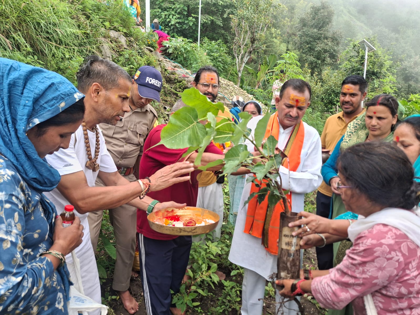 देव वृक्षों के संरक्षण व संवर्धन से सुरक्षित होगा भविष्य : चण्डी प्रसाद भट्ट।