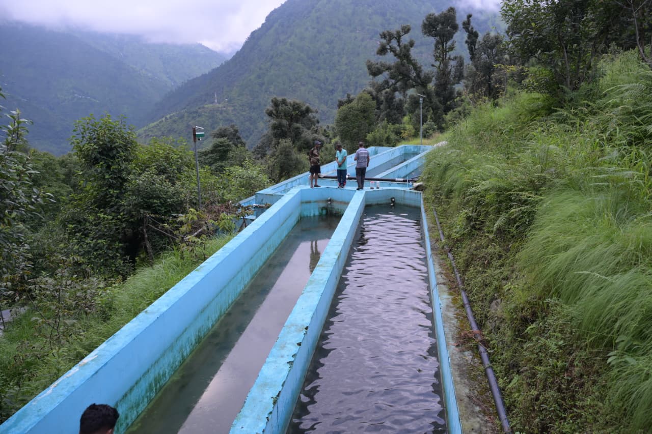 ट्राउट पालन से बलवीर सिंह राणा ने बदली तकदीर, 15 क्विंटल उत्पादन कर कमाया 6 लाख रुपये का शुद्ध मुनाफा।