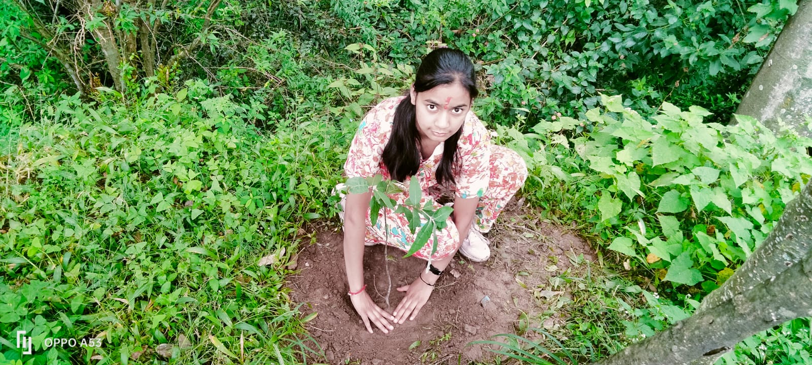 अवनि ने अपने माता-पिता गुरुजनो और घर के बड़ों का आशीर्वाद लेकर वृक्षारोपण कर मनाया जन्मदिवस।