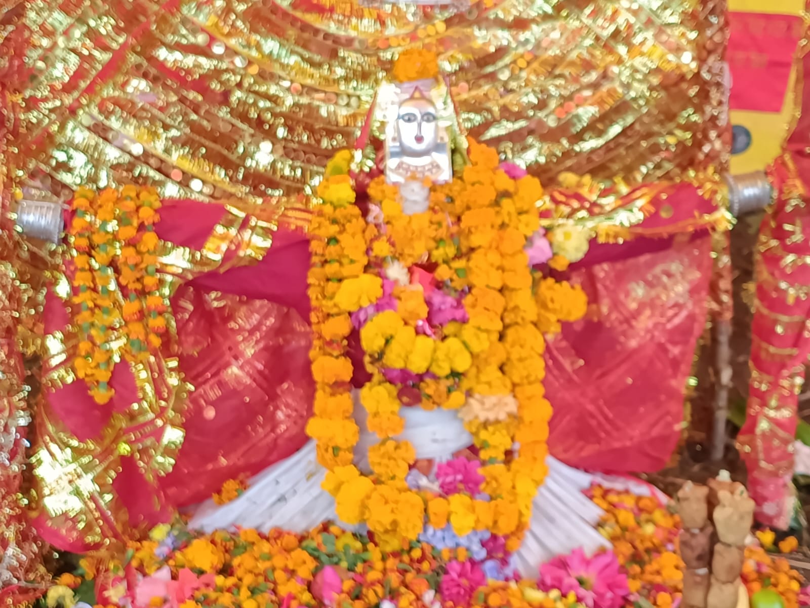 भगवती नन्दा के आगमन से तुंगनाथ घाटी के गांवों में उत्साह।